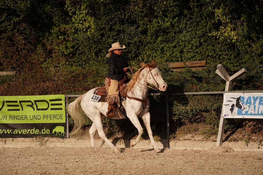 s_A_906753.JPG